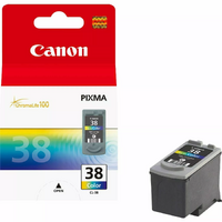 Canon Pixma ChromaLife100 Color 38