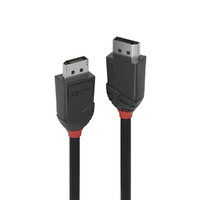 Lindy 1m DP Cable MM