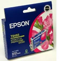 Epson T0493