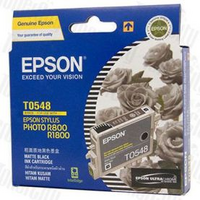 epson t0548