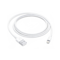 Apple Lightning 1m USB