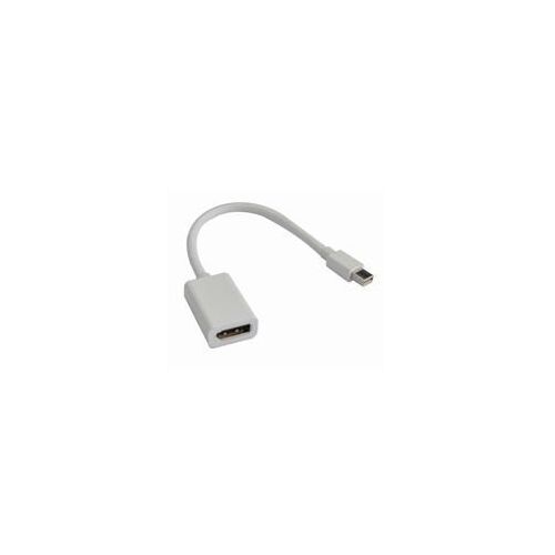 Astrotek Mini-DisplayPort Male to DisplayPort Femal Adapter