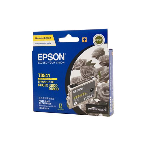 Epson T0541 Black Ink Cartridge